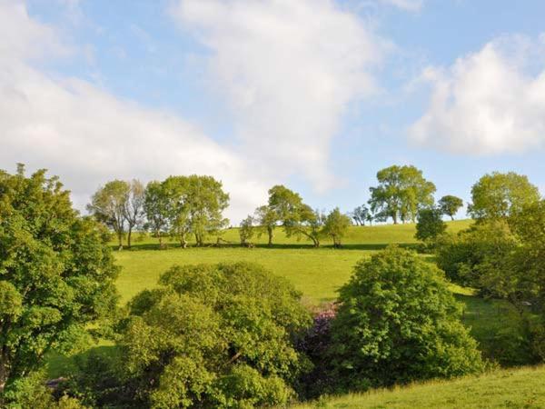 Hendre Aled Farmhouse Llansannan Eksteriør billede